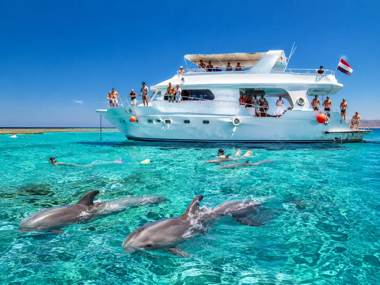 Dolphin House gallery image